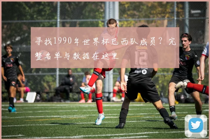 寻找1990年世界杯巴西队成员？完整名单与数据在这里