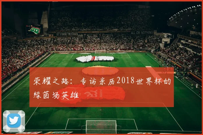 荣耀之路：专访亲历2018世界杯的绿茵场英雄